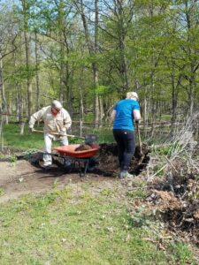 Two people gardening in a wooded area.