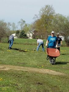 People working in a grassy field with wheelbarrow.