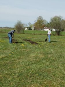 Two people digging in a grassy field.