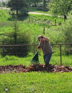 Person raking leaves in a sunny backyard